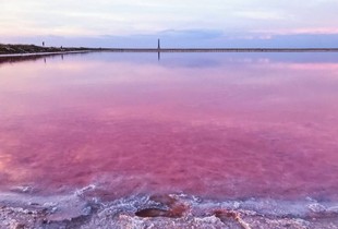 Озеро Сиваш в Евпатории: Розовая сказка, которая лечит